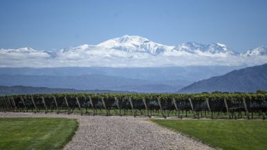 Foto iliustrativa de  Créditos para exportar vino: aspirinas para el cáncer