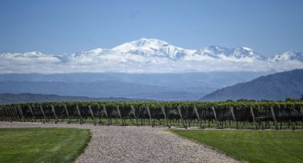 Créditos para exportar vino: aspirinas para el cáncer