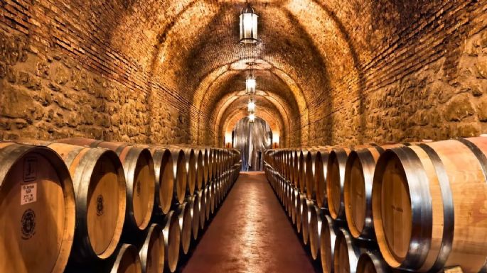 50 años de vitivinicultura mendocina: menos viñedos, menos bodegas y más concentración