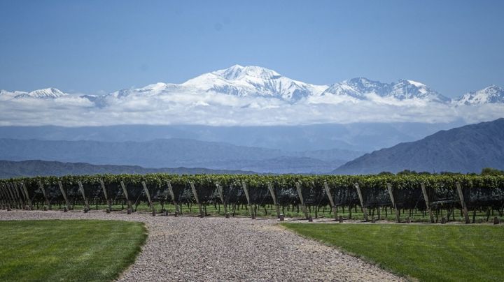 Créditos para exportar vino: aspirinas para el cáncer