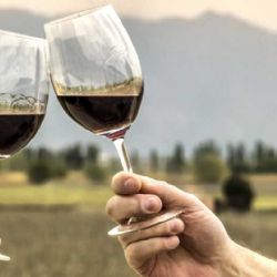¿Habrá acuerdo comercial con EEUU y beneficiará al vino?