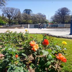 Así estará el tiempo en Mendoza este domingo