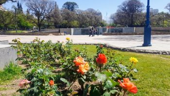 Así estará el tiempo en Mendoza este domingo