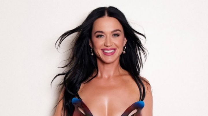 El guiño de Katy Perry al exprimer ministro Justin Trudeau