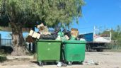 Foto ilustrativa de la nota titulada: No hay tacho que aguante: el problema del desborde de basura en los barrios privados