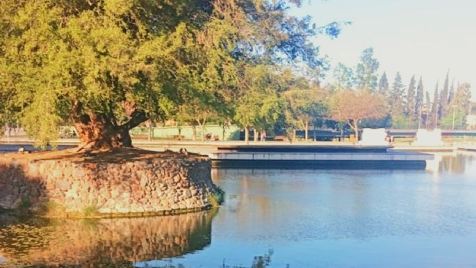 Jueves de verano en Mendoza: la máxima alcanzará los 28°