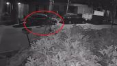 Foto ilustrativa de la nota titulada: Video: así roban cubiertas a dos cuadras de una comisaría en Godoy Cruz