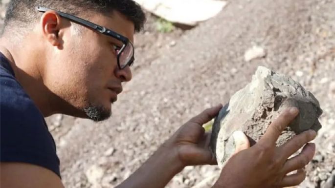 Hallaron fósiles de ictiosaurio en el estado de Táchira