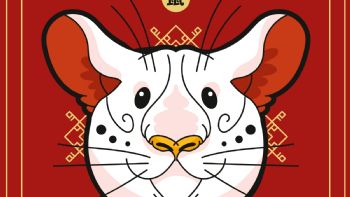 Según el horóscopo chino, se espera un fin de semana de suerte