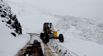 Sorpresiva nevada tardía en Vallecitos