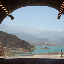 El viento tiró más de 30 árboles: qué dice el pronóstico para el jueves