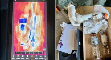 Intentaron enviar a Chubut tres lagartos africanos vivos en una encomienda 