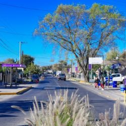 Así estará el tiempo en Mendoza este domingo