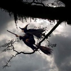 Por qué las brujas usan escobas para volar 
