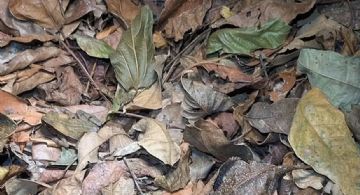 La foto viral que se convirtió en un reto visual 