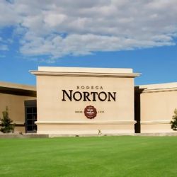 Bodega Norton se presentó en concurso de acreedores