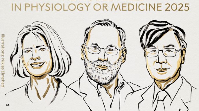 Dieron a conocer a los ganadores del Premio Nobel de Medicina
