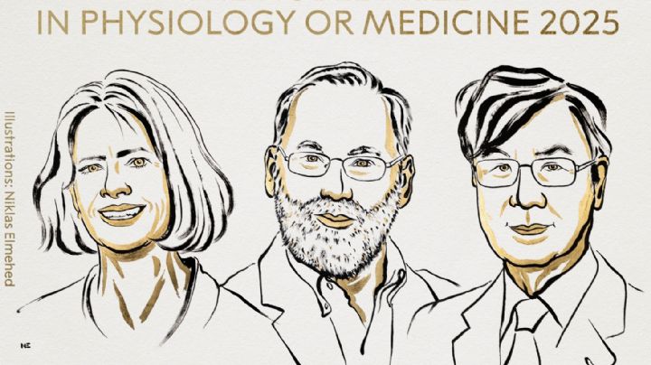 Dieron a conocer a los ganadores del Premio Nobel de Medicina