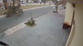 Foto ilustrativa de la nota titulada: Tragedia anunciada: un video destapó la amenaza silenciosa del arbolado en Maipú
