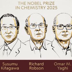 Dieron a conocer a los ganadores del Premio Nobel de Química