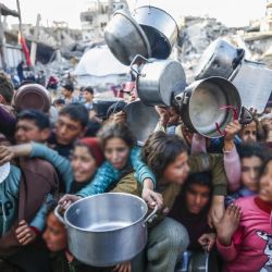 La ayuda humanitaria no llega a Gaza, solo han ingresado 900 camiones