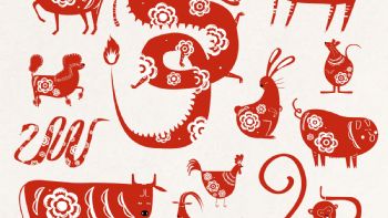  Horóscopo chino: descanso y creatividad para el fin de semana