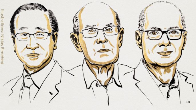Dieron a conocer a los ganadores del Premio Nobel de Química