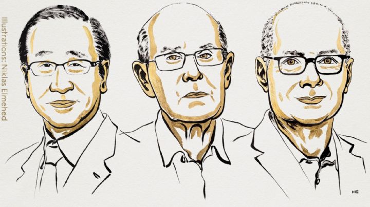 Dieron a conocer a los ganadores del Premio Nobel de Química