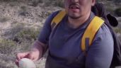 Foto ilustrativa de la nota titulada: Hallan en la Patagonia el huevo de dinosaurio carnívoro mejor conservado
