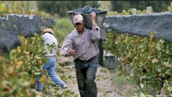 La Justicia Federal de Mendoza ayudó a Milei con la desregulación del INV