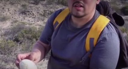 Hallan en la Patagonia el huevo de dinosaurio carnívoro mejor conservado