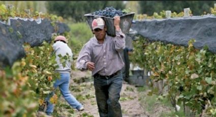 En ocho años desapareció el 55% de las cooperativas en Mendoza