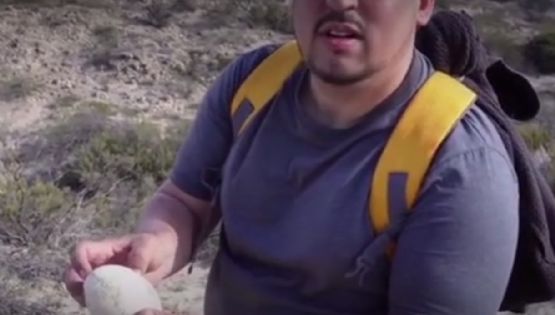 Hallan en la Patagonia el huevo de dinosaurio carnívoro mejor conservado