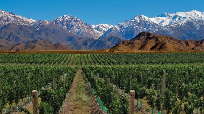 Valle de Uco: entre los que más Necesidades Básicas Insatisfechas tienen en Mendoza