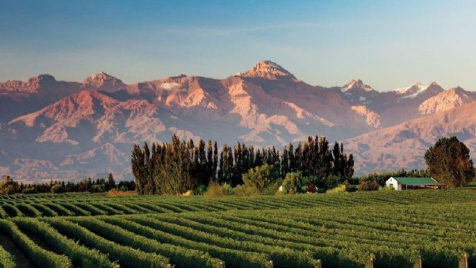 Valle de Uco: entre los que más Necesidades Básicas Insatisfechas tienen en Mendoza