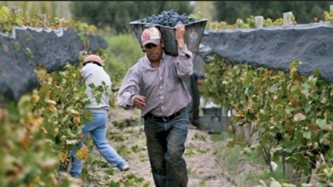 En ocho años desapareció el 55% de las cooperativas en Mendoza