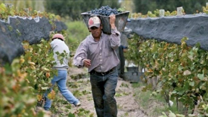 Valle de Uco: entre los que más Necesidades Básicas Insatisfechas tienen en Mendoza