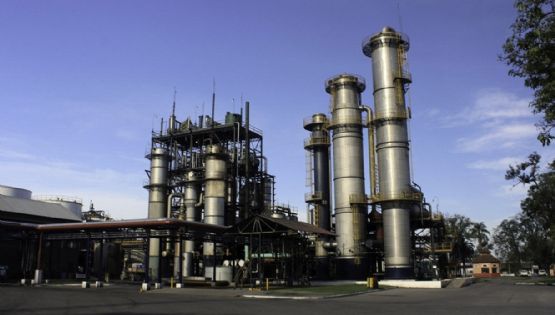 Oficializaron los nuevos precios para el biocombustible