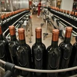 Cambios de fondo en el INV: la crítica mirada de los referentes