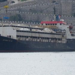 Casi 3.000 vacas uruguayas llevan dos meses en un buque sin poder desembarcar