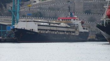 Casi 3.000 vacas uruguayas llevan dos meses en un buque sin poder desembarcar