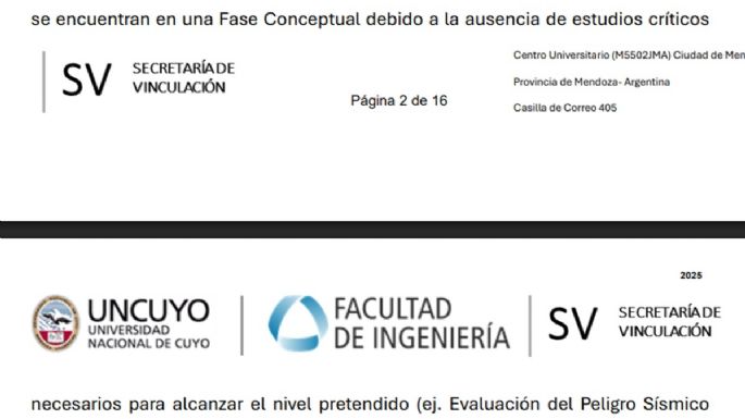 Rodríguez Salas: “La Evaluación Ambiental nunca culminó, por eso la DIA de PSJ está condicionada"