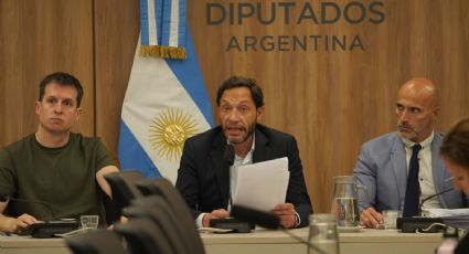 Caso $Libra: se conocen las conclusiones de la investigación de Diputados
