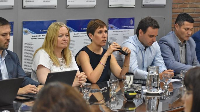 Cómo y cuándo se tratarán los proyectos mineros del Gobierno