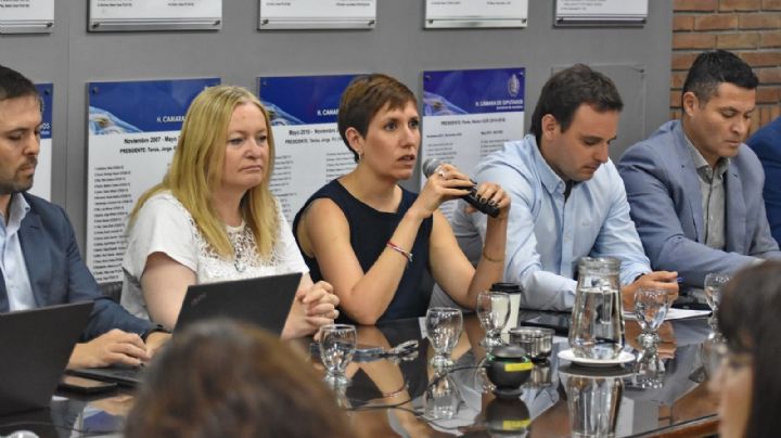 Cómo y cuándo se tratarán los proyectos mineros del Gobierno