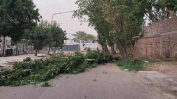 Una caída anunciada: el Zonda expuso la negligencia en Maipú