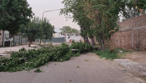 Una caída anunciada: el Zonda expuso la negligencia en Maipú