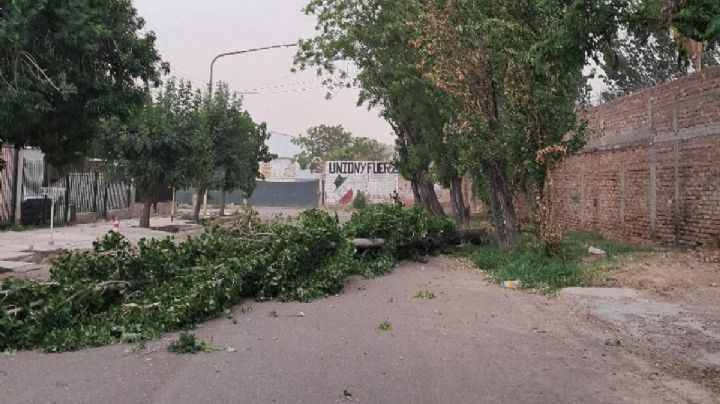 Una caída anunciada: el Zonda expuso la negligencia en Maipú