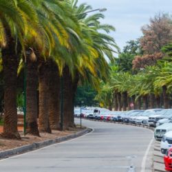 Nochebuena en Mendoza: calor moderado y condiciones ideales para la mesa navideña