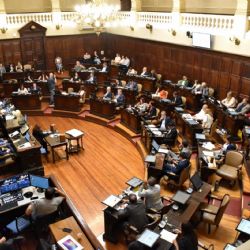 Diputados aprobó la Declaración de Impacto Ambiental de San Jorge